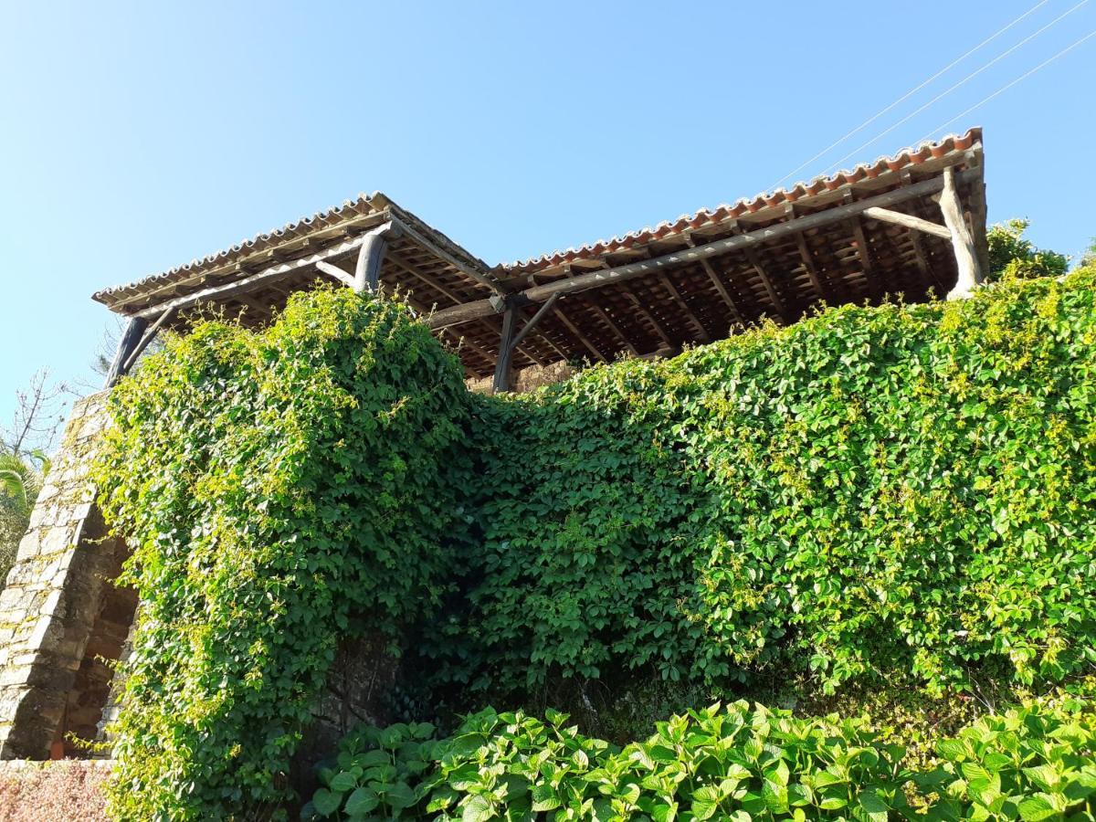 Casa Do Tojo E Rosmaninho Villa Ferreira do Zêzere Exterior foto